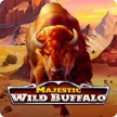 Wild Buffalo